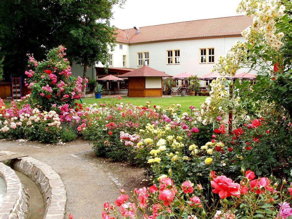 Hotel Weidenmuhle Mühlhausen Zewnętrze zdjęcie